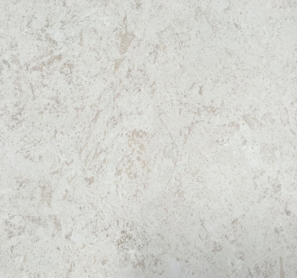 Eastern Beige Tiger