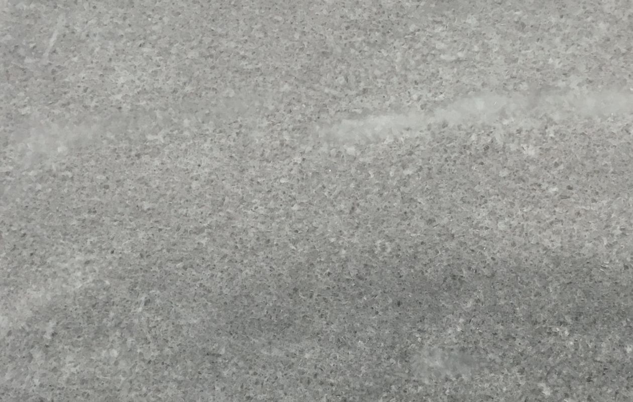 Eastern Grey