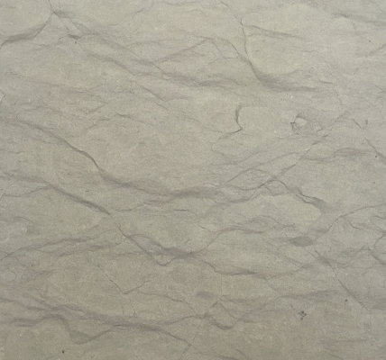 Grey Dove