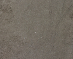 Grey Foussana
