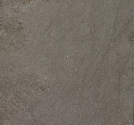 Grey Foussana