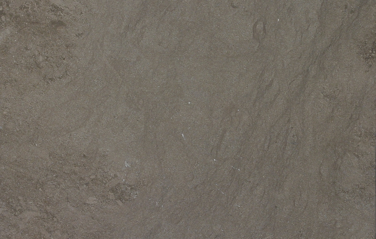 Grey Foussana