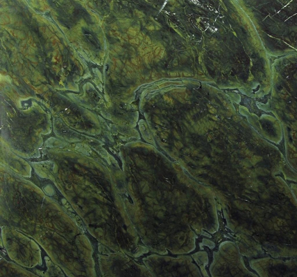 VITORIA REGIA